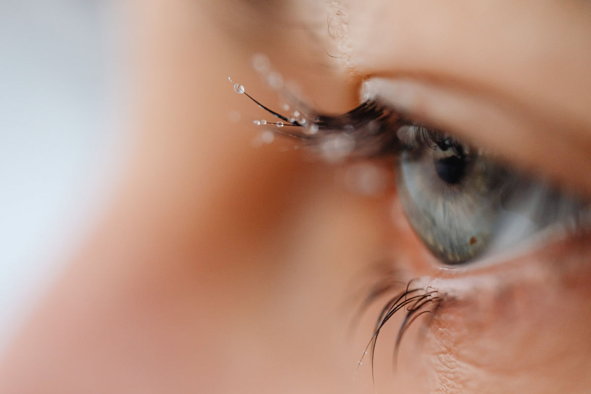 Wimpernverlängerung Classic – neu